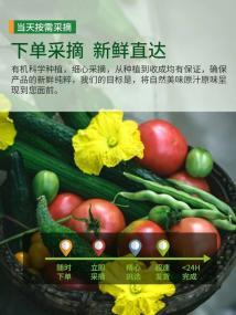 全深圳承接各公司 学校 工厂食堂承包,团体用餐,蔬菜粮油肉类水果等配送